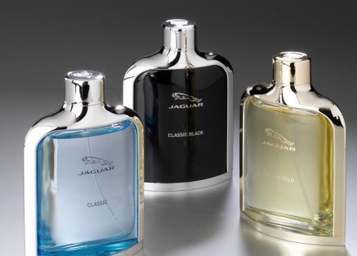 JAGUAR - Image 7